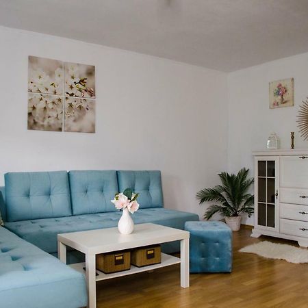 Collosal Apartment With Garden Бухарест Екстер'єр фото