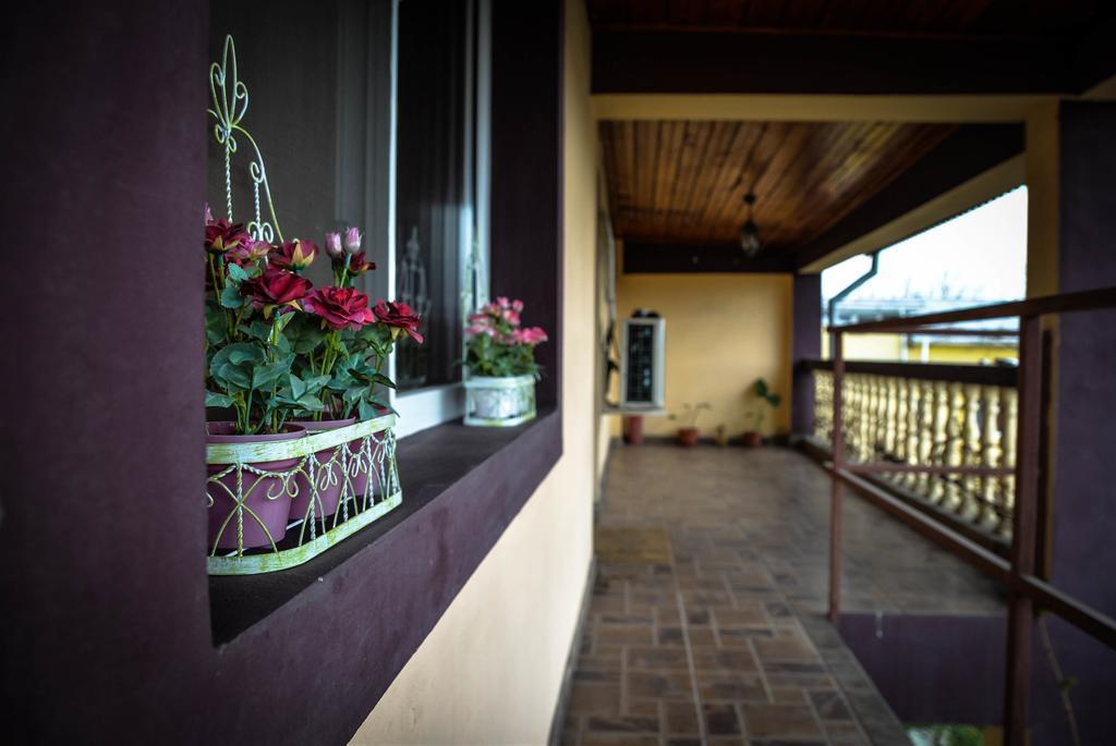 Collosal Apartment With Garden Бухарест Екстер'єр фото