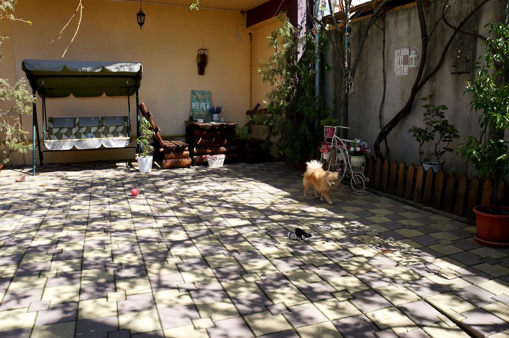 Collosal Apartment With Garden Бухарест Екстер'єр фото