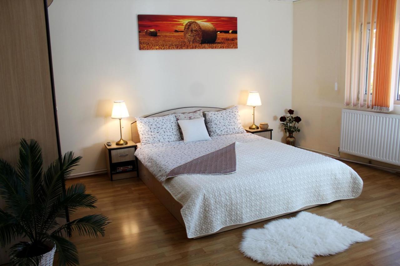 Collosal Apartment With Garden Бухарест Екстер'єр фото