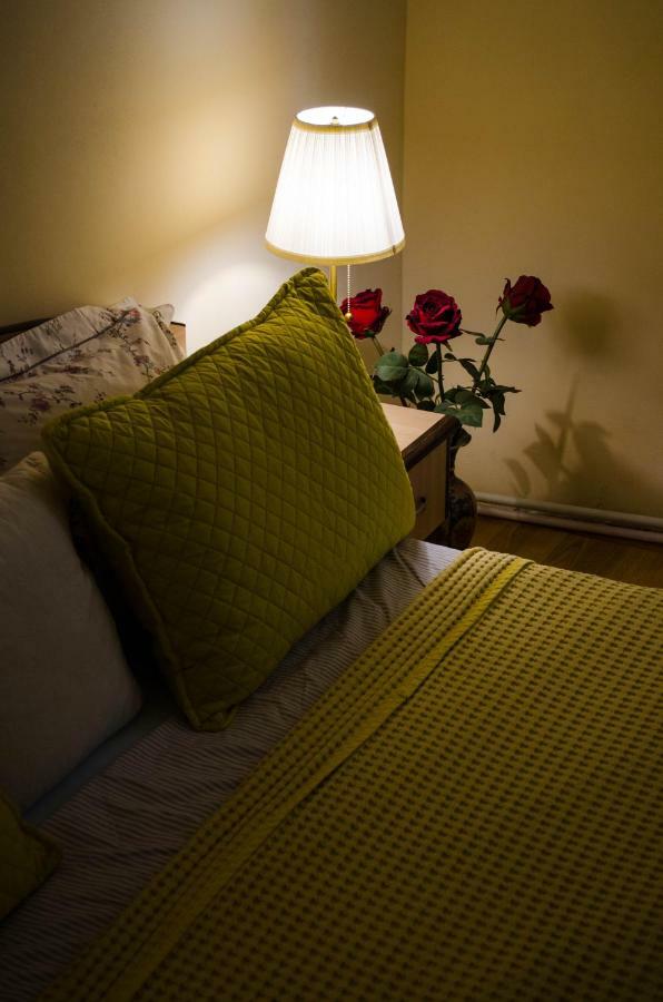 Collosal Apartment With Garden Бухарест Екстер'єр фото