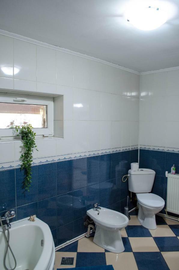 Collosal Apartment With Garden Бухарест Екстер'єр фото