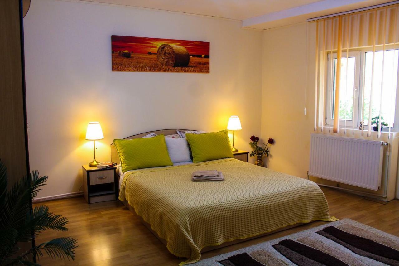Collosal Apartment With Garden Бухарест Екстер'єр фото